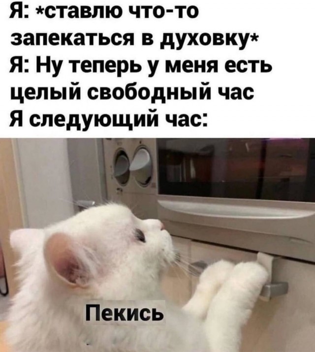 Немного забавных видео и картинок