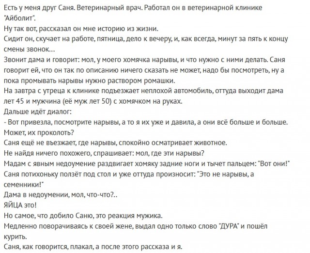 Так себе картинки 16.01.25