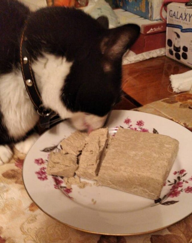 Халва снижает уровень стресса и улучшает сон, — специалисты