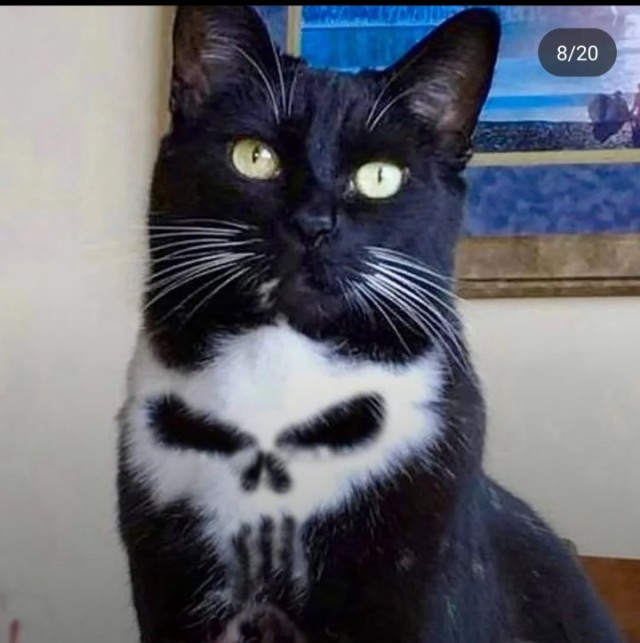 Надо бы занести