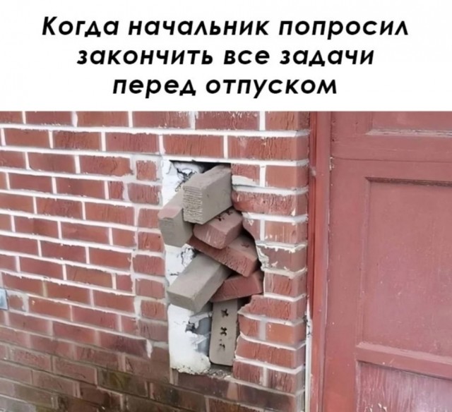 Весёлый полтишок 19.08.25