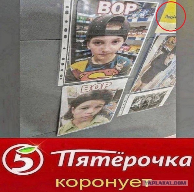 Веселое настроение в картинках (01.10.2025)