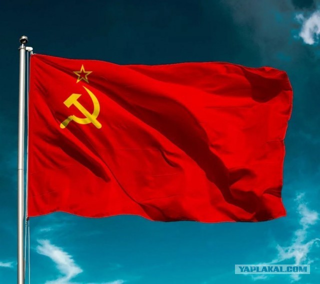 Рэд флэггз⁠⁠