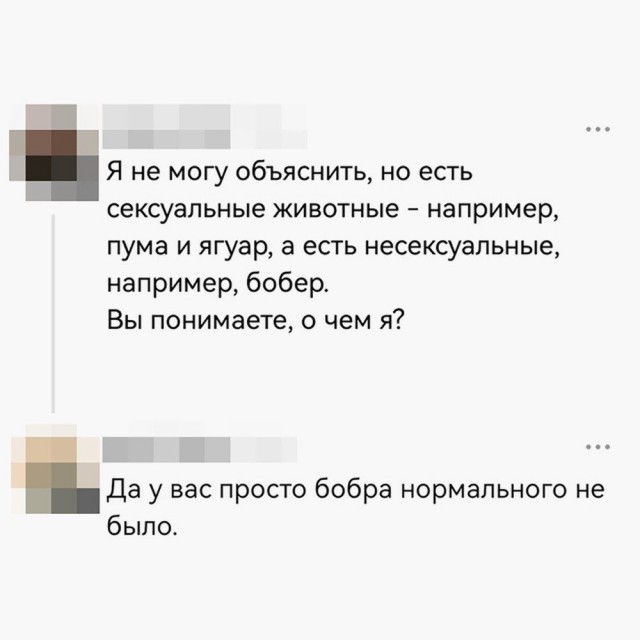 За бобров обидно⁠⁠