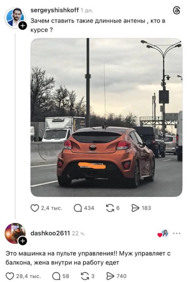 Воскресные картинки