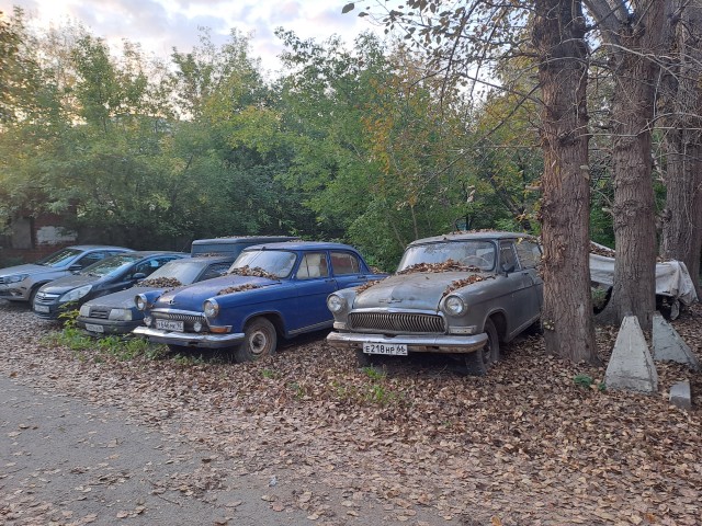 Какая красотка!!!