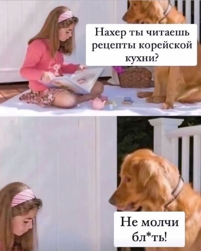 Картинки для деградации 242 (разной степени свежести)