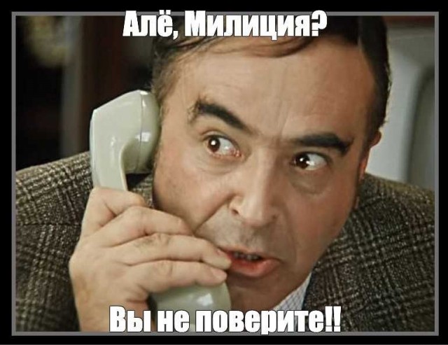 Баклажаны как грибы