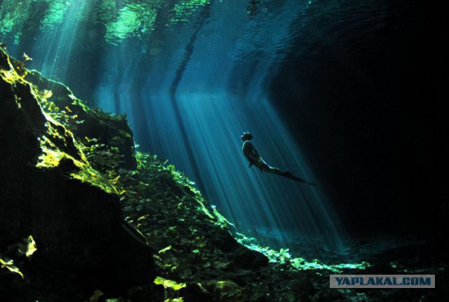 Лучшие фотографии National Geographic 2013.