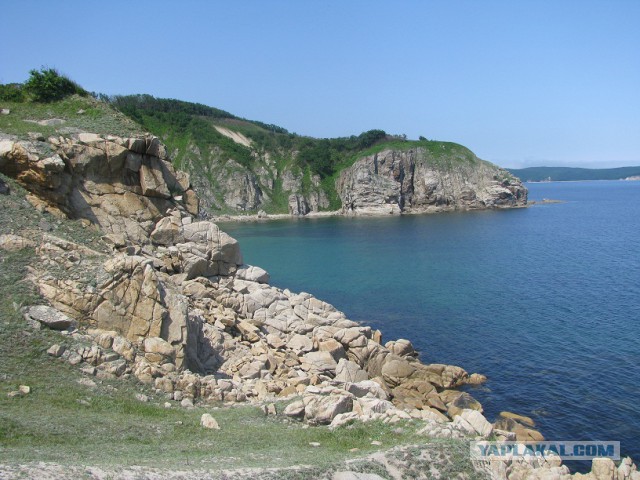 Природа Приморского края