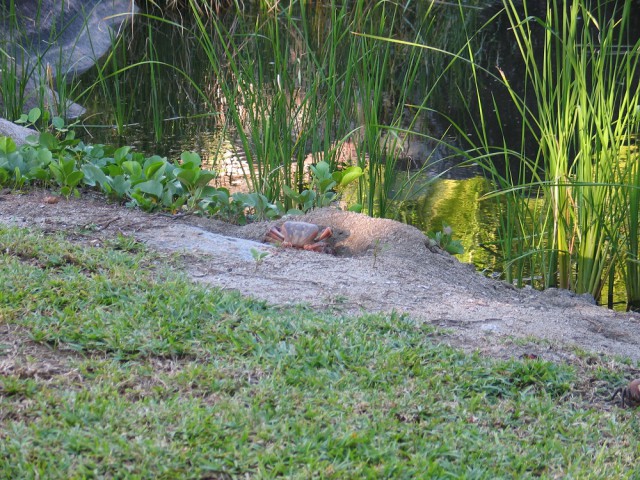 Как я съездил на Сейшелы