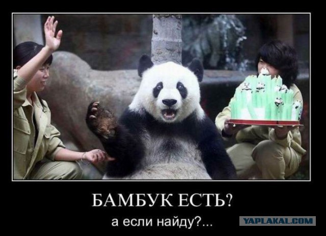Веселые картинки