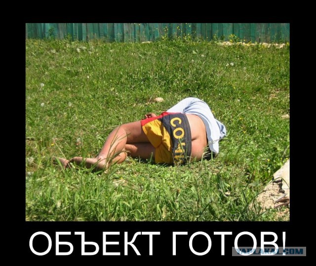 Хорошо погуляли!