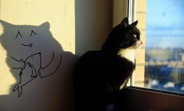 Демы к котовторнику!