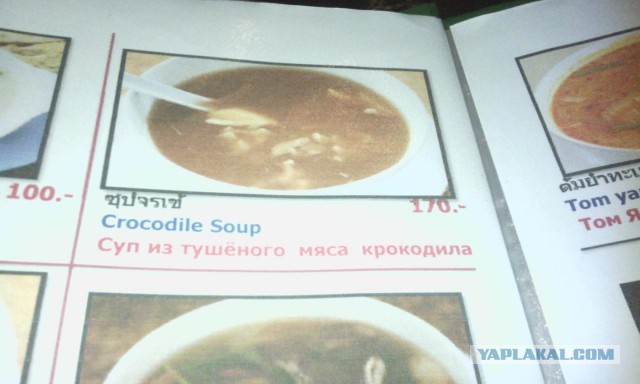 Отдых в Тунисе