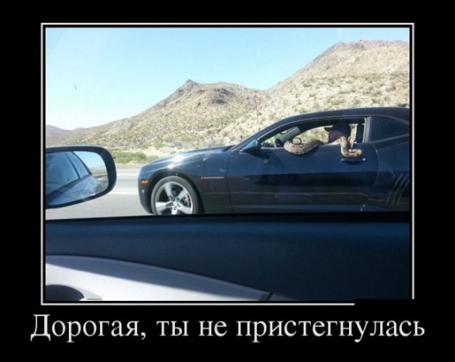 Подборка картинок