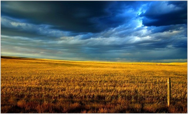Яркие фотографии John White