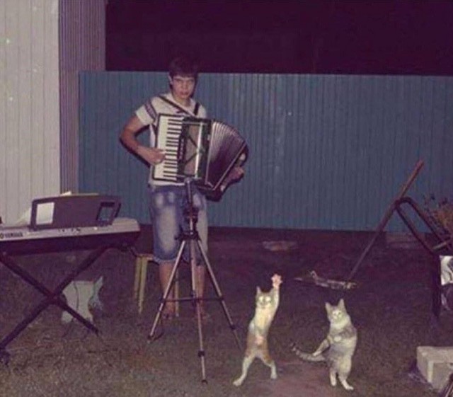 Картинок пост