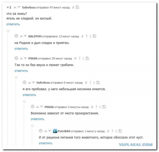 Смешные комментарии из социальных сетей 20.10.2017