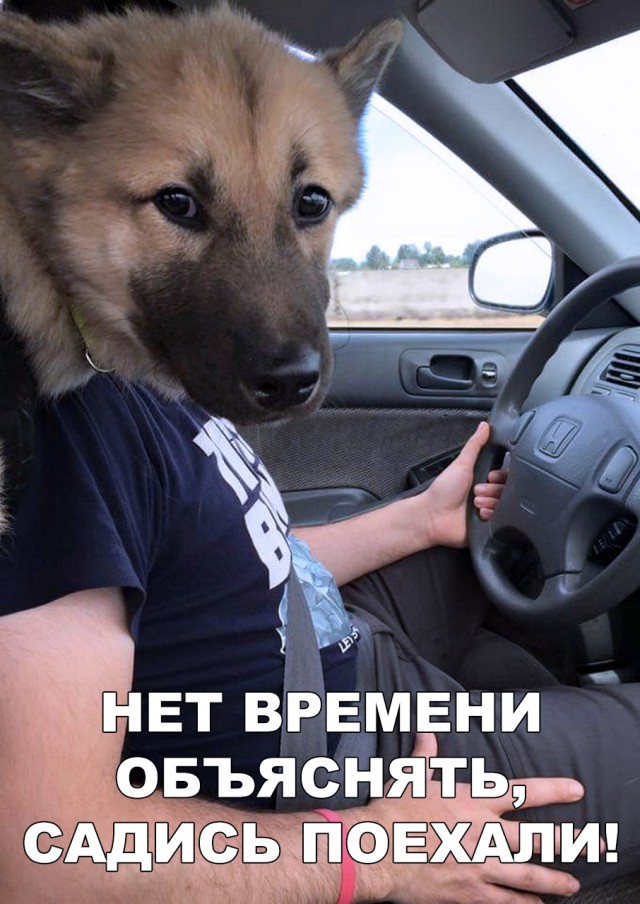 Нестандартный юмор