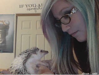 А ну-ка иди сюда, я тебе вломлю!