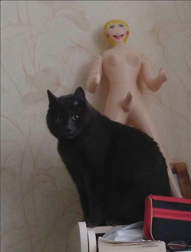 Нестандартный юмор