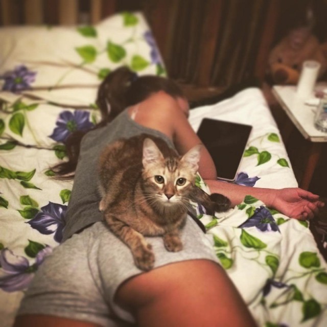 Красивые девушки с котиками