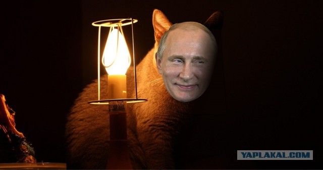 Конференция Путина 2020