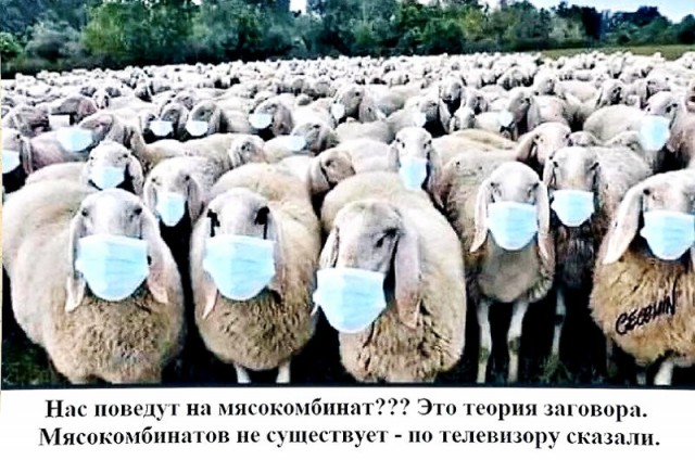 Мы в ловушке, но она пока не захлопнулась