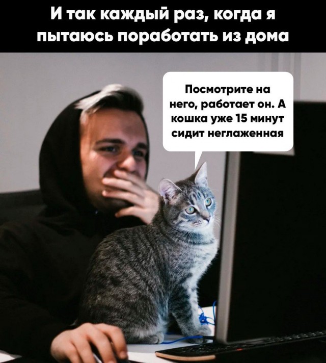 Не очень умные картинки