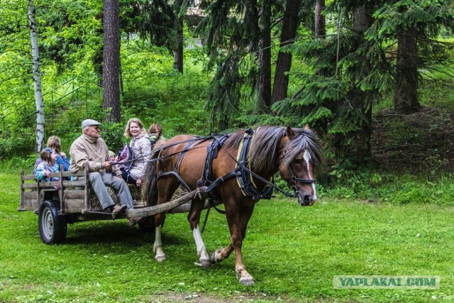 Патриот