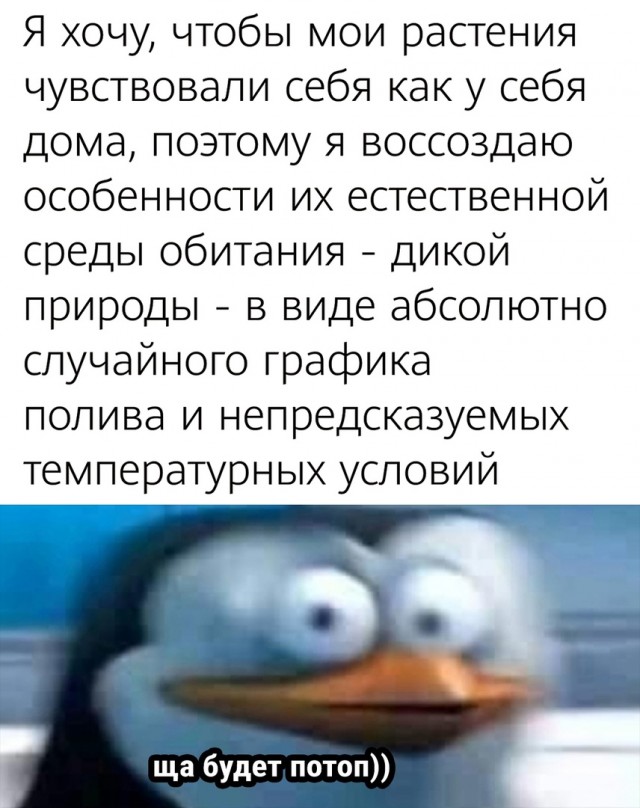 Так себе картинки 07.05.22