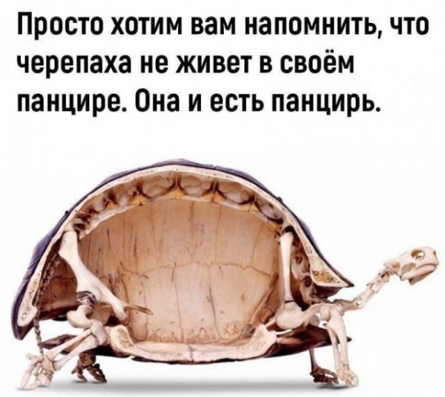 Немного картинок для настроения - 137