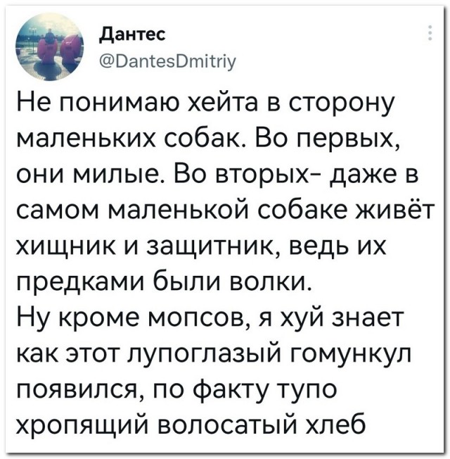 Забавные комментарии из социальных сетей (06.03.23)