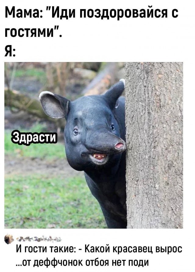 Картинок разной степени @анутости псто.