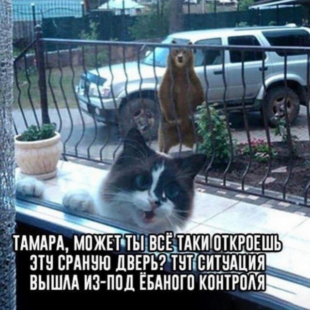 Так себе картинки 19.03.23