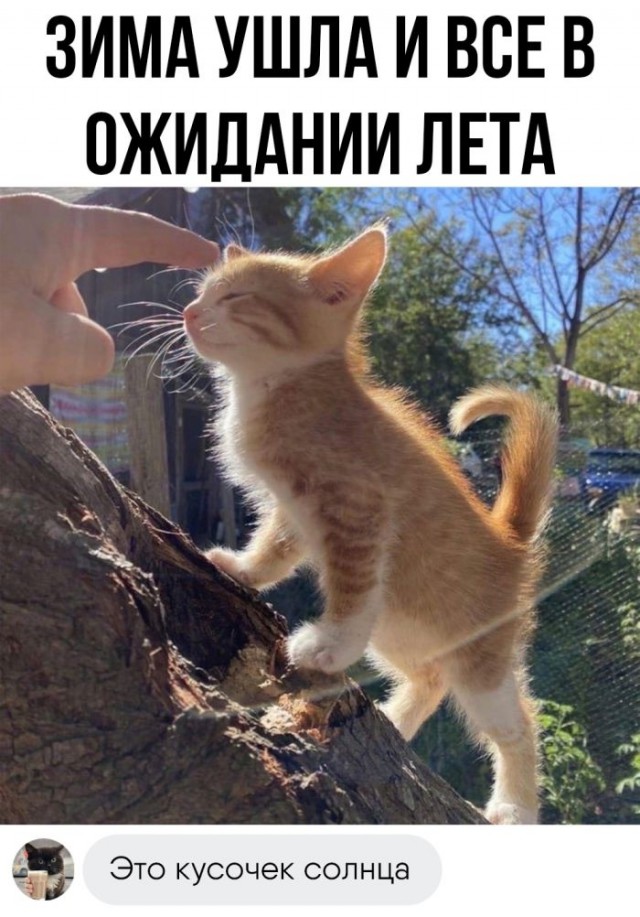 Картинки и мемы, всяко разно - 171