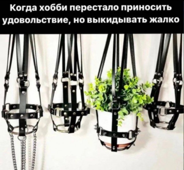 Всего понемногу. От 10.08.