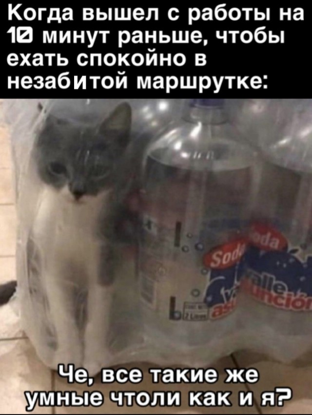 Всего понемногу. От 14.08.23