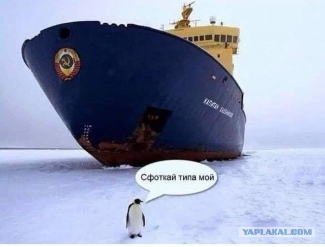 Хозяйство у жениха маленькое, жену не найдет!