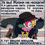 Немного юмора городским от деревенских
