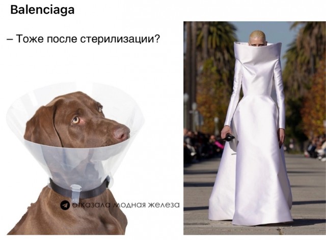 Отряд быстрого деградирования