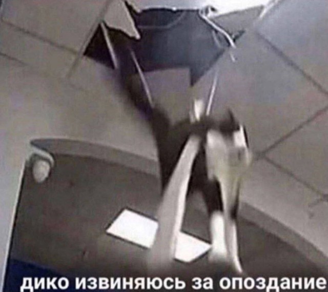 Всего понемногу. От 08.07