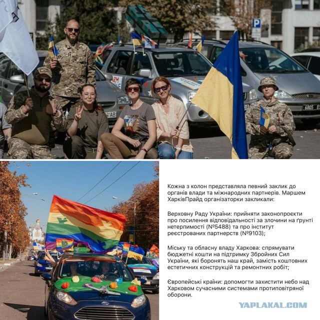 Текущие реалии Белгорода
