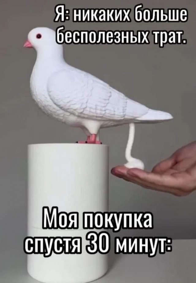 Весёлый полтишок 19.09.24