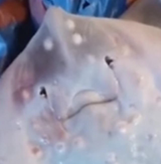 Мальчик и девочка