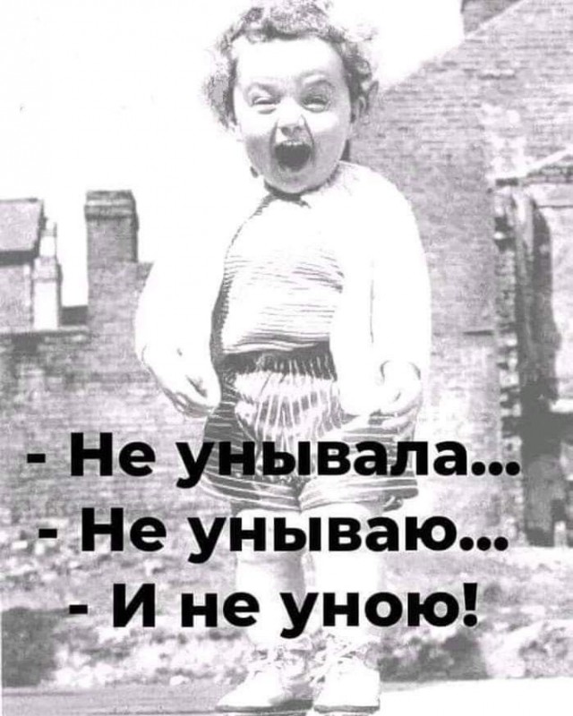 Прикольные и просто красивые картинки 08.10.2024