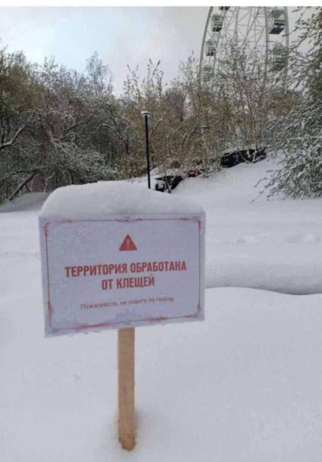 Клещи в шоке от такой обработки