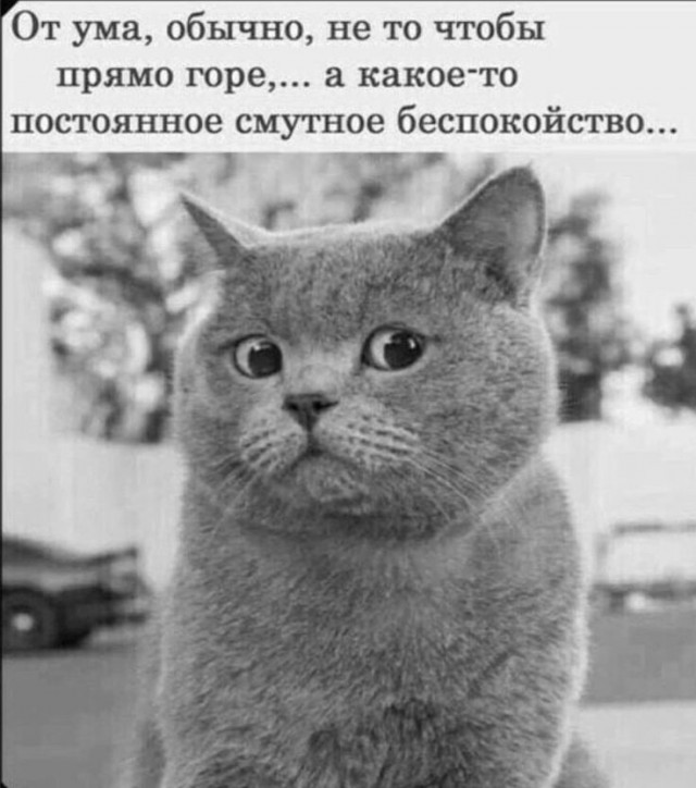 Прикольные и просто красивые картинки 06.05.2025
