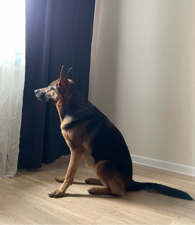 Там за окном...